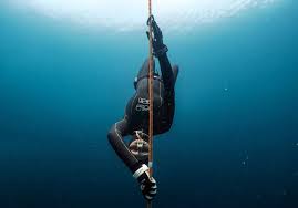 FIM Freediver