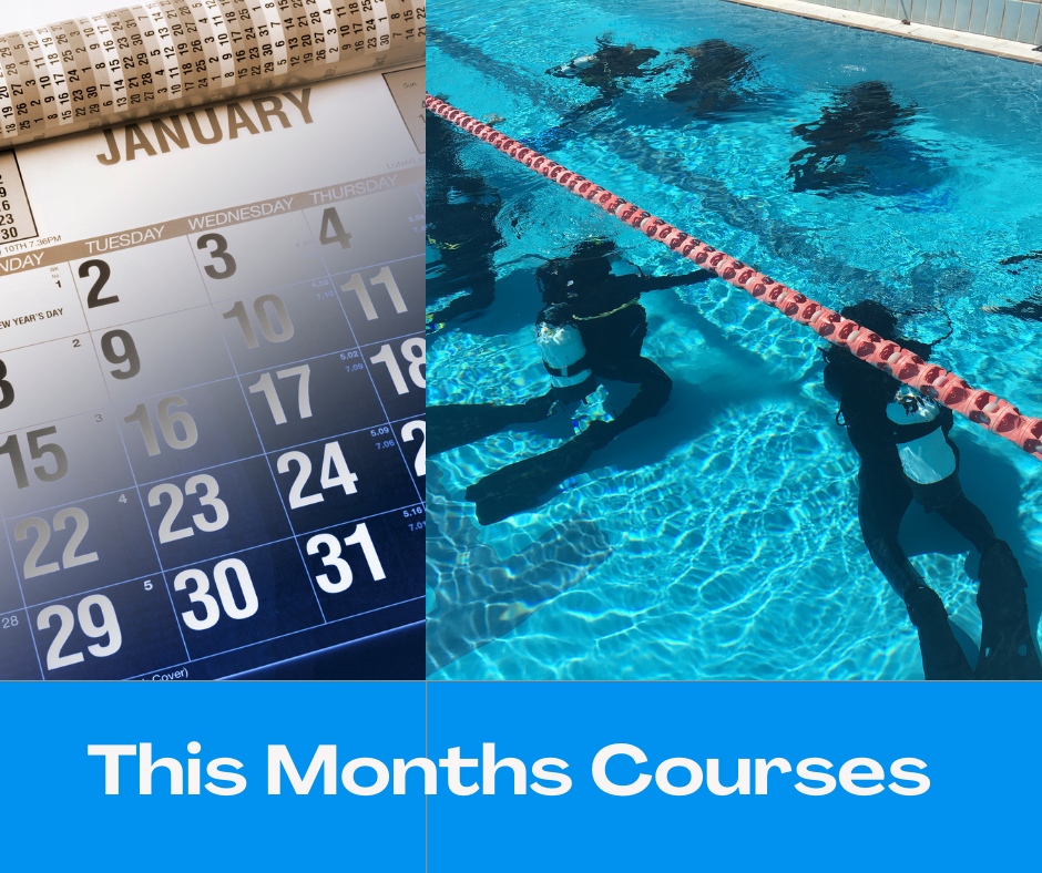 Learn to Scuba Dive with the trydive session