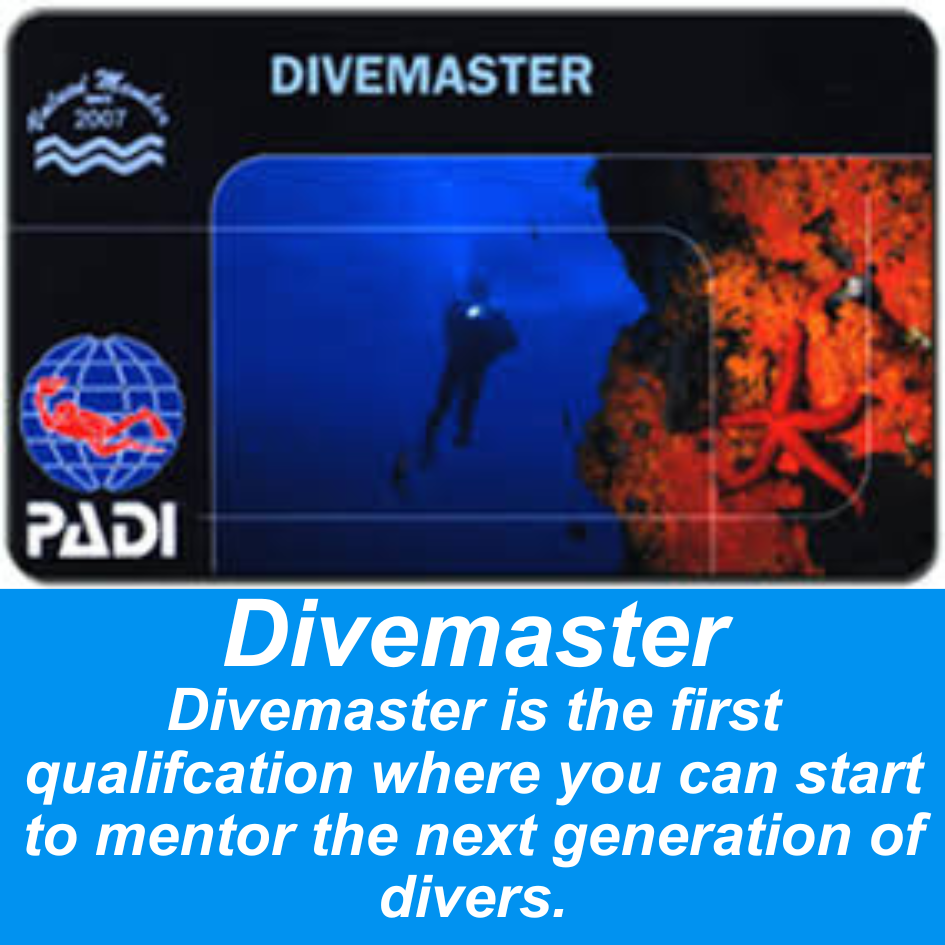 PADI Divemaster Course