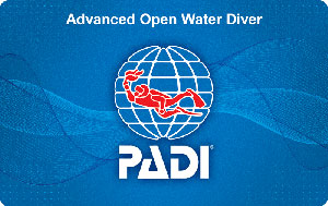 Jr. Advanced Open Water
