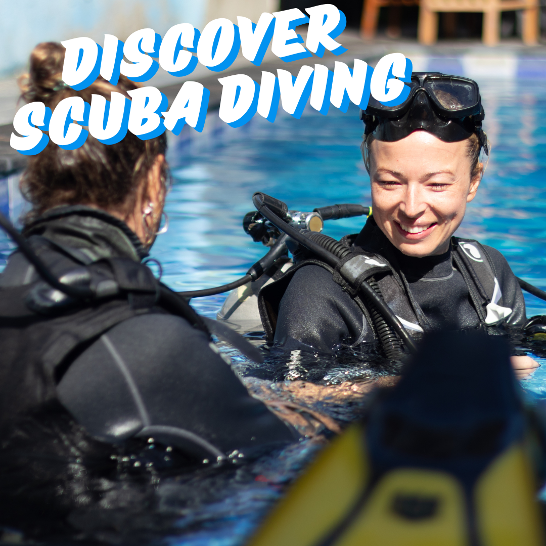 Learn to Scuba Dive with the trydive session