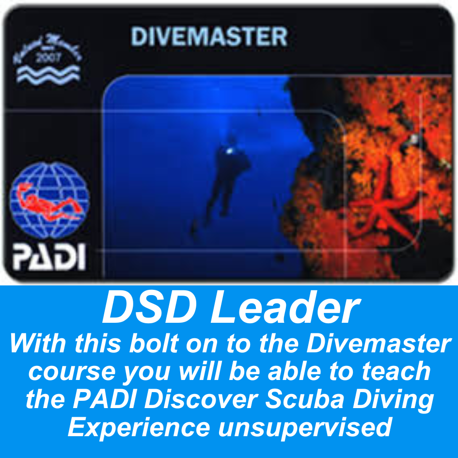 Divemaster DSD Leader