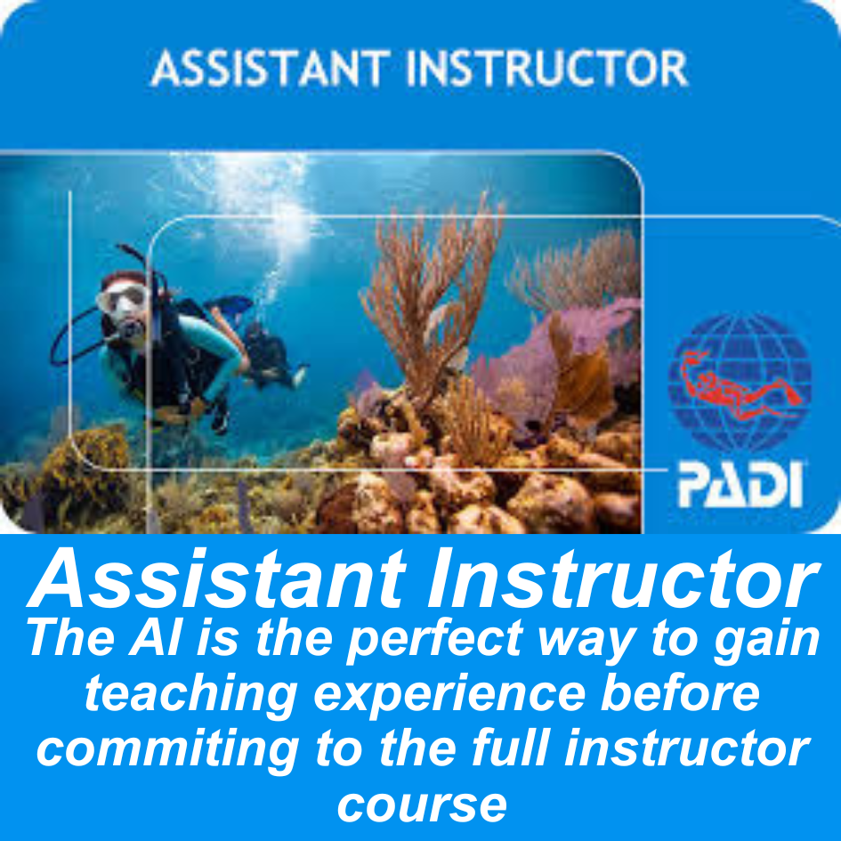 Become a PADI Open Water Scuba instructor
